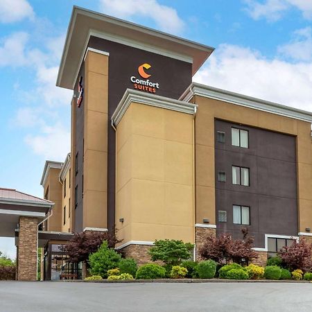 Comfort Suites Kingsport Exterior foto